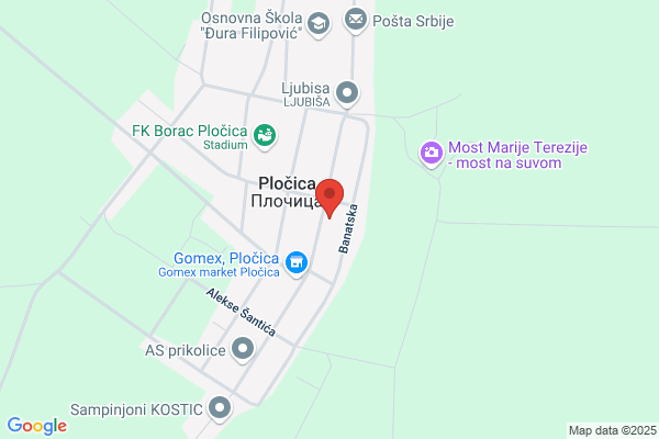D. Mandic Transport