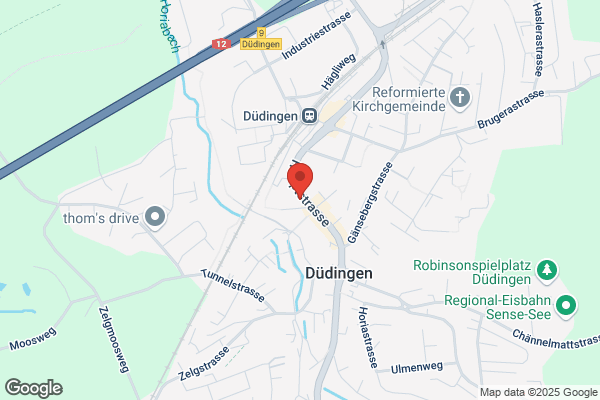 Wasserversorgung Duedingen AG