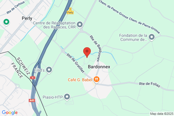 Manège de Bardonnex