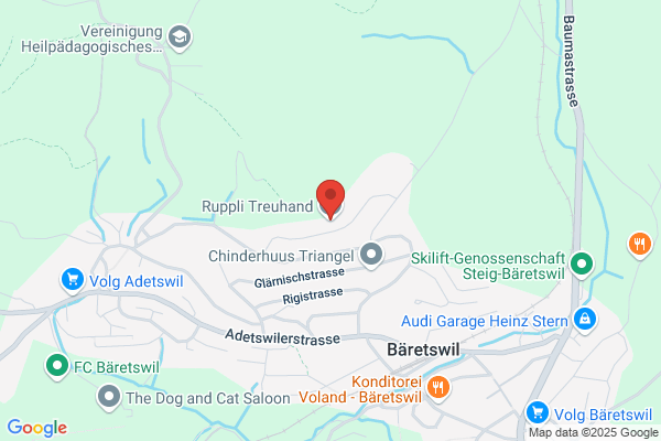 Ruppli Treuhand AG