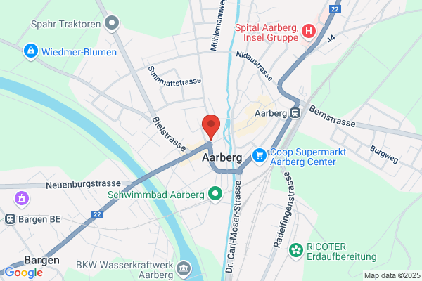 Revisia Treuhand Burkhard Schuetz AG