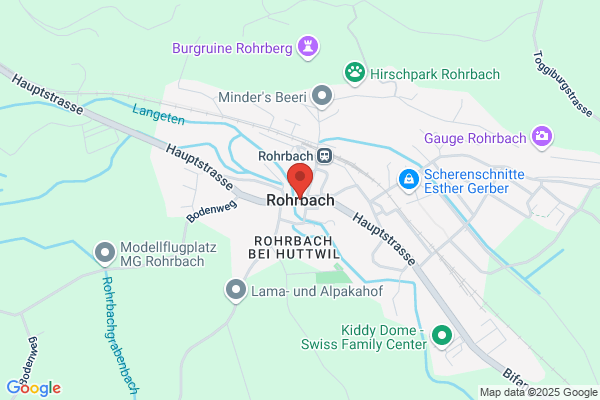 Ernst Rohrbach