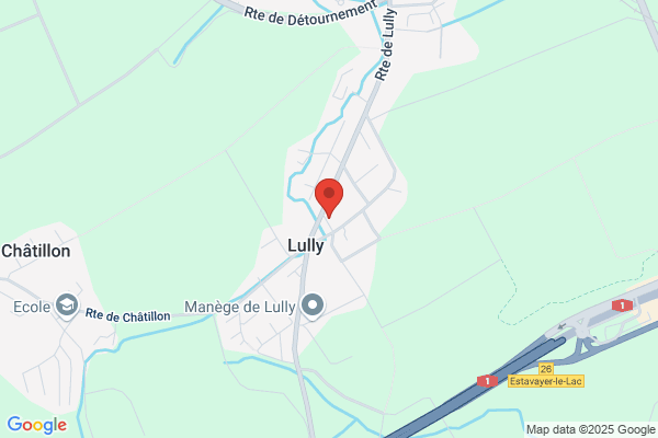 Litron AG