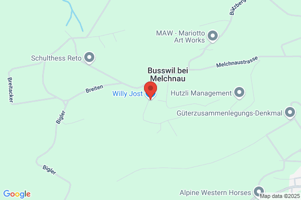 Willy Jost