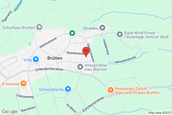 Buehler Telematik AG