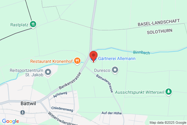 Allemann R. Gärtnerei