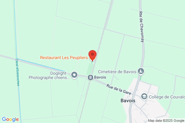 Du gazon à la forêt