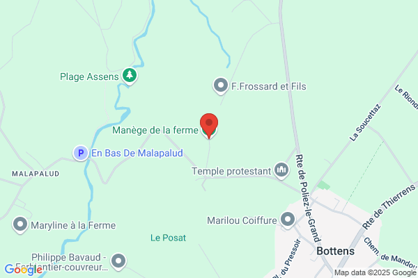 Manège de la Martine Pension pour chevaux