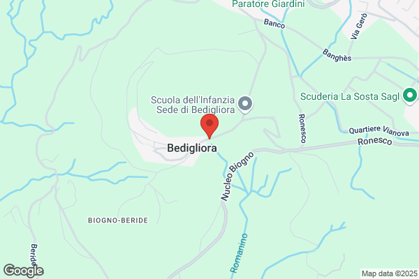 Leonida Govi