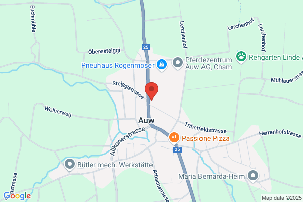 Auto Bucher