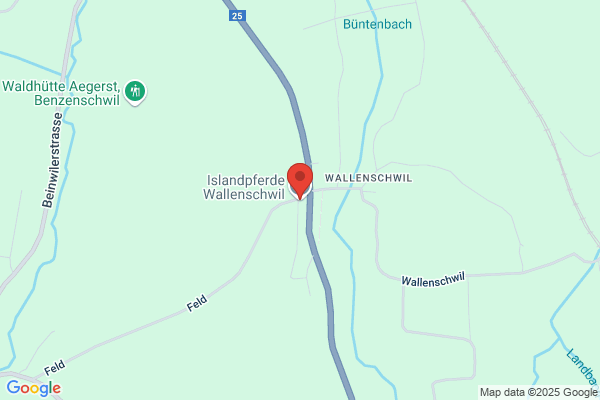 Islandpferde Ausbildungs-Zentrum