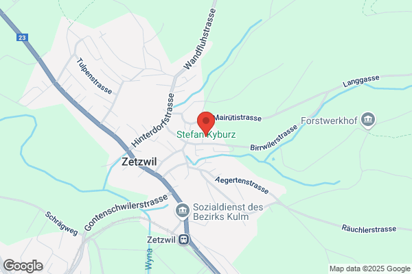 Kyburz + Hintermann und Co Gartengestaltung