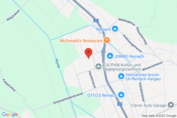 Landi Laden Reinach