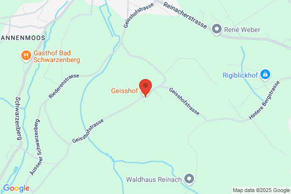 Restaurant Geisshof