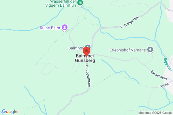 Restaurant Balmschloss