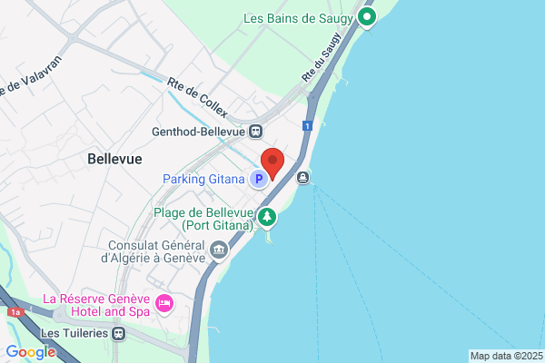 Bellevue Trading