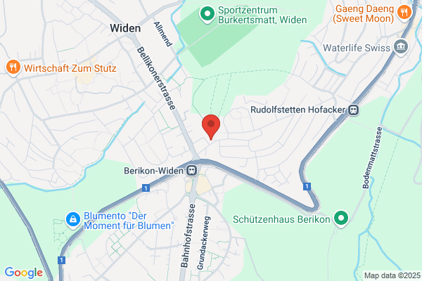 Acapa Reisen Widen GmbH