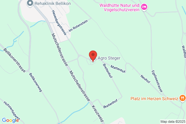 Agro Steger