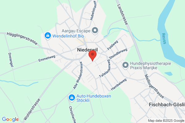 PM Consult Projektmanagement Informatik R. Buhl
