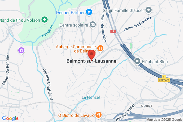 CFE Bernard Besson und Coaching-Services