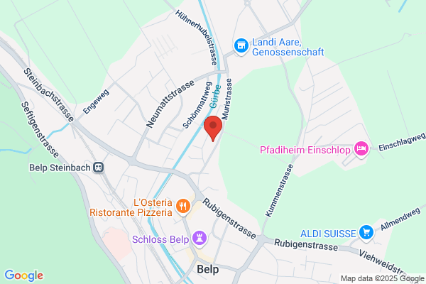 Neuapostolische Kirche in der Schweiz