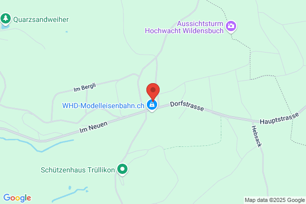 Hans u. Elsbeth Frei Wildensbuch