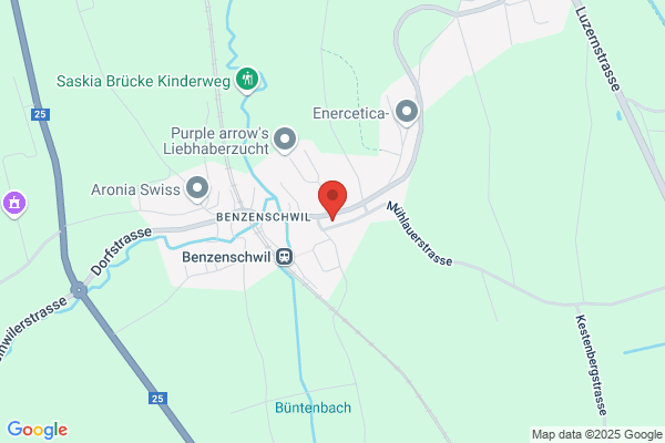 Elektrizitaetsgenossenschaft