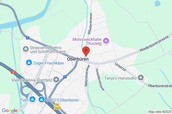 Hanspeter Koller
