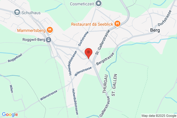 Meinrad Schnell
