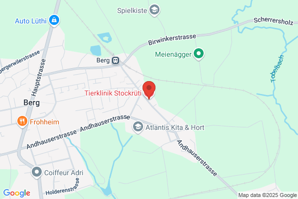 Tieraerztliche Klinik GST Stockrueti AG