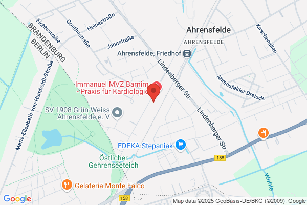 RZI R. Zurbriggen Informatik