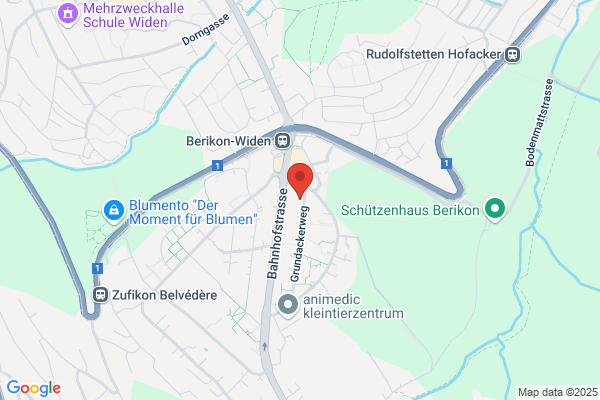Dr.med.dent. Reinhard Walther