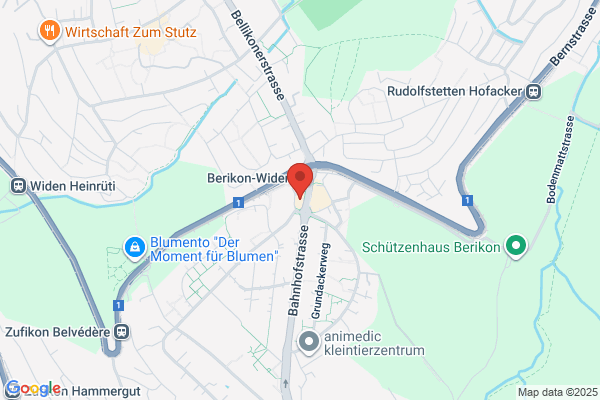 Goni Reisen GmbH