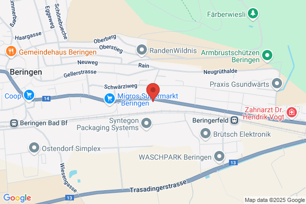 Schwaninger AG