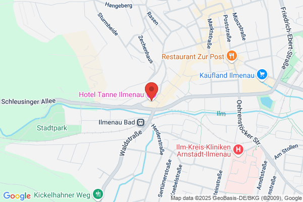 Hotel Tanne