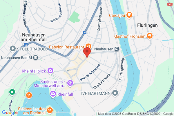 Hotel-Restaurant Rheinfall