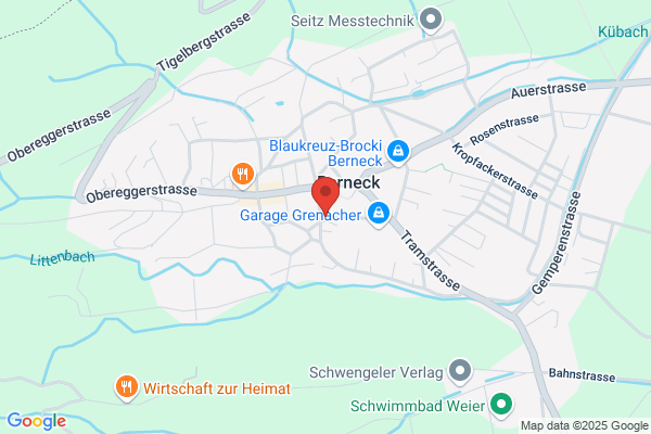 Frei AG Cheminée-Technik