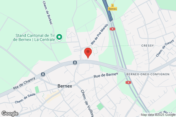 DSS Systèmes et Services SA