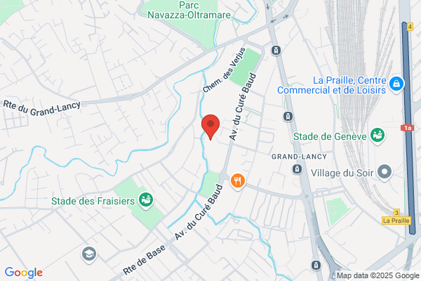 Lancy-Natation