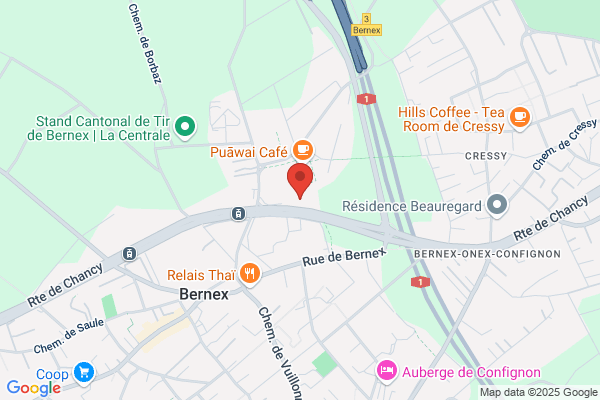 Pelican Solutions Sàrl