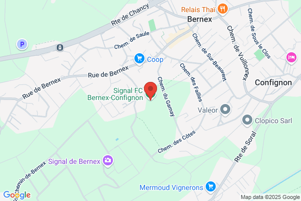 FM Puglisi und Gulinello
