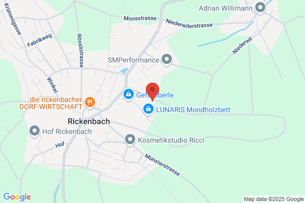 Neumuehle Rickenbach GmbH