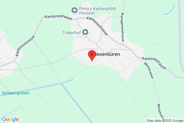ABIES Consulting GmbH