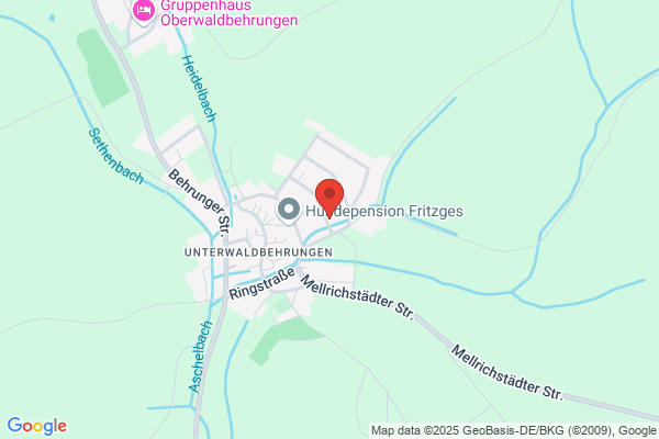 Fischer AG, Malergeschäft