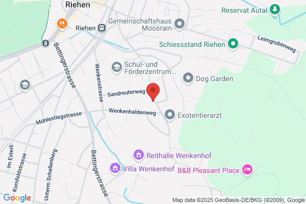 Carmens Garten- und Zimmerpflanzenservice