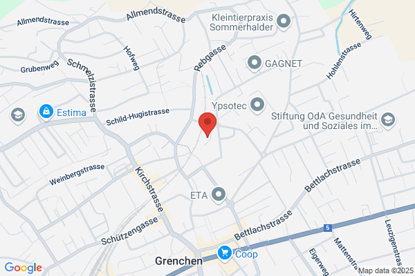 Electro-Friedli AG