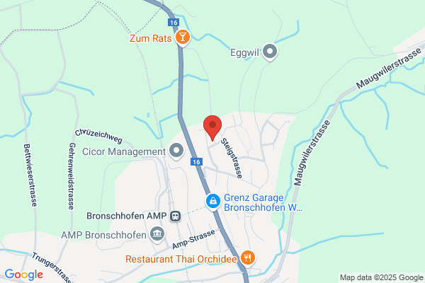 Flammer Treuhand GmbH