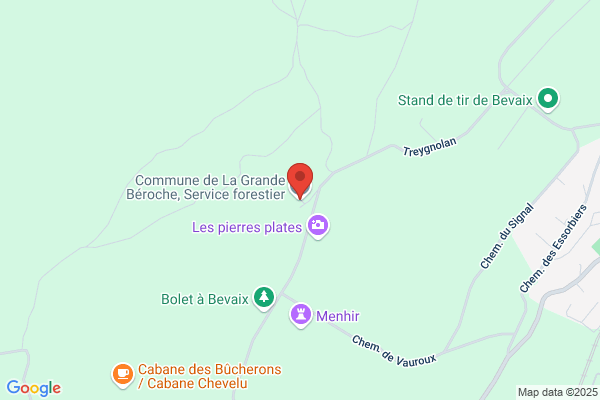 Foresterie urbaine Buehler