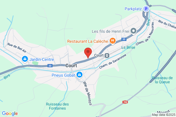 CERCLE DEMOCRATIQUE DE COURT
