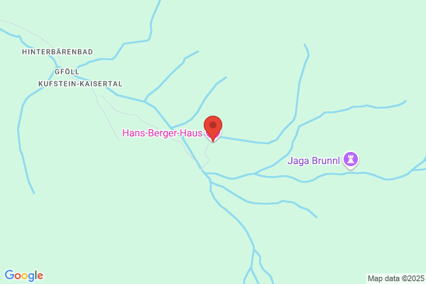 Hans Berger